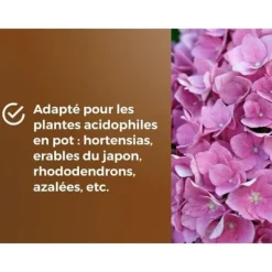 Specialjord för ljungväxter - OR BRUN - OBRTBRU6U - 6L - Bästa rotutveckling