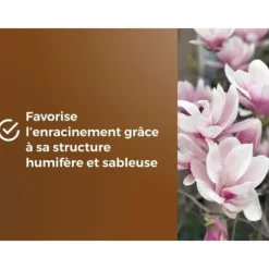 Specialjord för ljungväxter - OR BRUN - OBRTBRU6U - 6L - Bästa rotutveckling