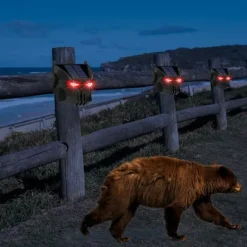 2st soldriven djuravvisande lampa Röd LED blinkande rovdjursavskräckande ljus