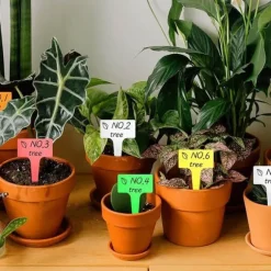 50st Växtetiketter | Plantskyltar för Märkning av Växter