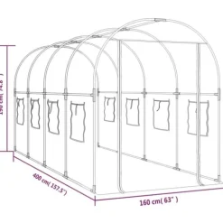 Stort växthus i PVC & pulverlackerat stål - Skydda dina växter | Färg: Genomskinlig | Storlek: 160x400x190 cm