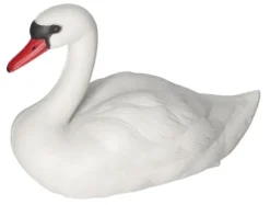 SVAN SIMMADE SOM EN LIVSFIGUR I TRÄDGÅRDEN