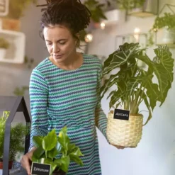 Svarta griffeltavleklämmor, 7x7,5x1,5 cm, Svart