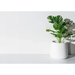 Terra - jord - sand Komp Substrat universell FULLT 25 L