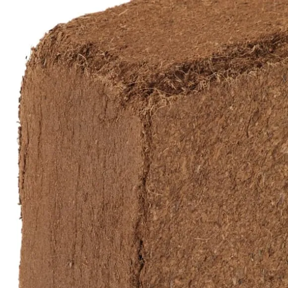 The Living Store Block i kokosfiber 2 st 5 kg vardera 10 kg total - Jord och sand