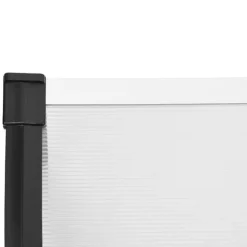 The Living Store Entrétak svart och transparent 199x90 cm polykarbonat - Markiser