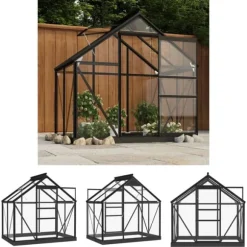 The Living Store Glasväxthus antracit 155x103x191 cm aluminium - Växthus