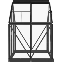 The Living Store Glasväxthus antracit 155x103x191 cm aluminium - Växthus