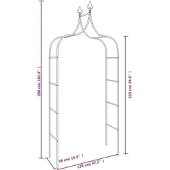 The Living Store Rosenbågar 2 st svart 120x38x260 cm stål - Bersåer, spaljéer & pergolor