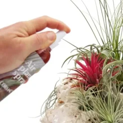 Tillandsia gödsel - färdig att blanda i sprayflaskan - 150ml