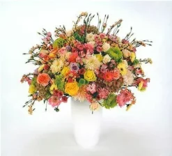 Tocotronic : Schall & Wahn CD Pre-Owned