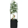 Tomatburar med växtpåsar - Justerbart stålstöd för tomater och vinrankor | Färg: Grön | Storlek: 116 cm | 4 st