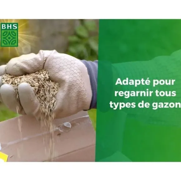 Torr Ground Replenishment Lawn - BHS - 1kg | 40 m² | Stark och hållbar, med utmärkt hållbarhet och tolerans mot tramp.