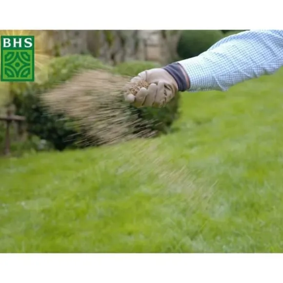 Torr Ground Replenishment Lawn - BHS - 1kg | 40 m² | Stark och hållbar, med utmärkt hållbarhet och tolerans mot tramp.