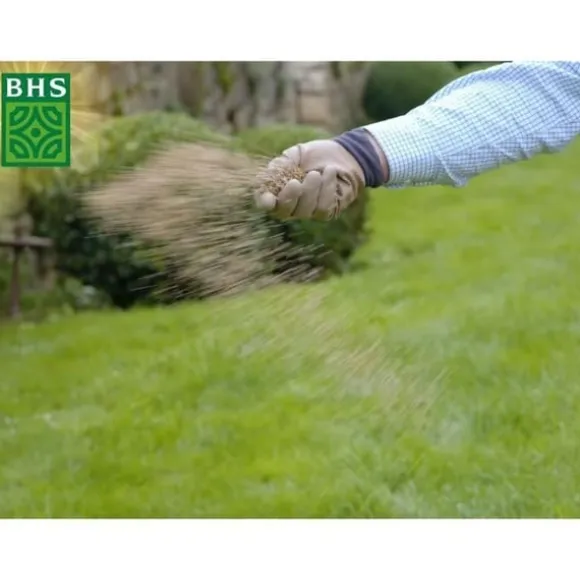 Torr återväxtgräs - BHS - 1 kg | 40 m² | Stark och hållbar, med utmärkt hållbarhet och tålighet mot trampning.