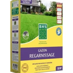 Torrgräs för återväxt - BHS - 3 kg | 150 m² | Stark och hållbar, med utmärkt hållbarhet och tålighet mot trampning.