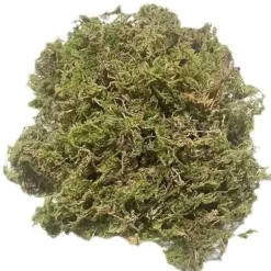 Torrt mousse för trädgård TD® 300g planteringsmousse fuktgivande för växter och blommor trädgårdsinredning