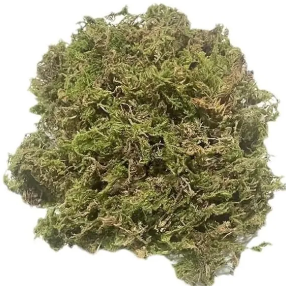 Torrt mousse för trädgård TD® 300g planteringsmousse fuktgivande för växter och blommor trädgårdsinredning