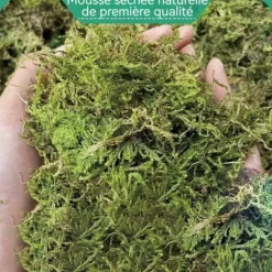 Torrt mousse för trädgård TD® 300g planteringsmousse fuktgivande för växter och blommor trädgårdsinredning