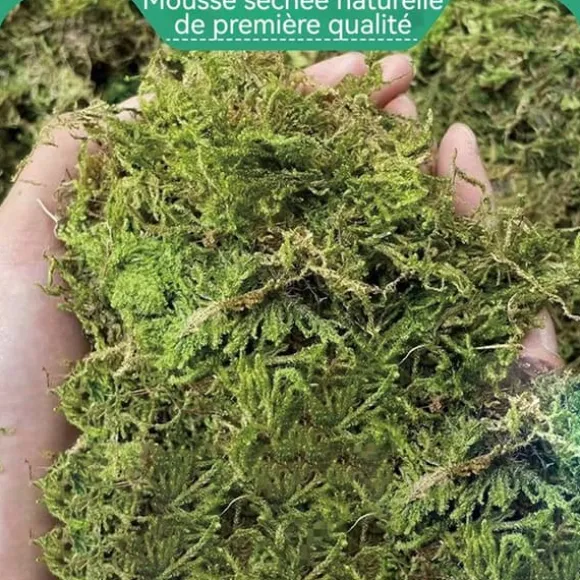 Torrt mousse för trädgård TD® 300g planteringsmousse fuktgivande för växter och blommor trädgårdsinredning