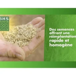 Torrtäckningsgräs för markpåfyllning - BHS - 1 kg | 40 m² | Stark och hållbar, med utmärkt hållbarhet och tålighet mot trampning.