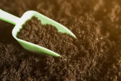 TORVSUBSTRAT JORD PH 5,5-6,5 BIOVITA 50L