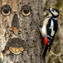 Träansiktsdekoration, 11x7x3,5 cm, Grön