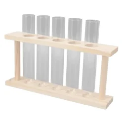 Transparent provrörsväxtterrarium med trästativ för observation av växttillväxt