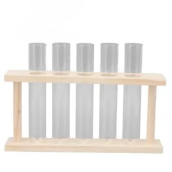 Transparent provrörsväxtterrarium med trästativ för observation av växttillväxt