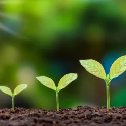 Trädgårdsblomgödsel Granulat Trädgårdsstart 2kg