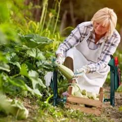 Trädgårdsknäsits, 50x60x27,5 cm, Grön