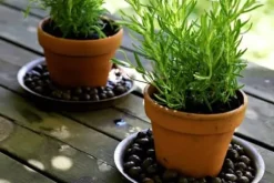 Trädgårdslera 4-8 mm krukväxt 5L ren fin