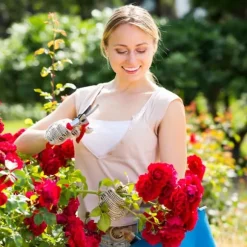 Trädgårdspaviljong, Metall, 250x160x160 cm