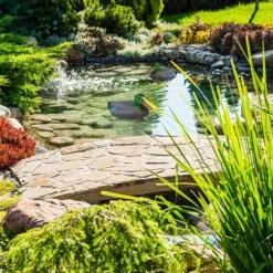 Trädgårdsprydnad, Dammanka, 18.5x15x40 cm, Flerfärgad