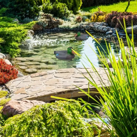 Trädgårdsprydnad, Dammanka, 18.5x15x40 cm, Flerfärgad