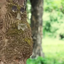 Trädgårdsprydnad, Trädansikte Dekoration, 8.5x12.5x2 cm, Beige