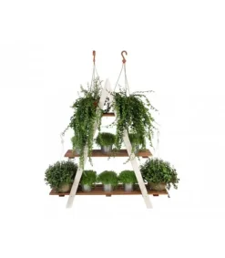 Trälåda 107x101x26 cm - RP/ 3-nivå/ Vit-Brun