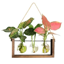 Träram väggmonterad hydroponisk vas för gröna växter i vardagsrumsinredning