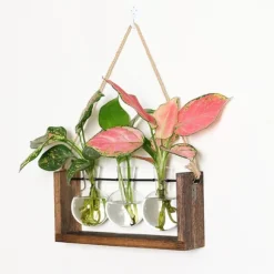 Träram väggmonterad hydroponisk vas för gröna växter i vardagsrumsinredning