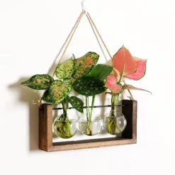 Träram väggmonterad hydroponisk vas för gröna växter i vardagsrumsinredning