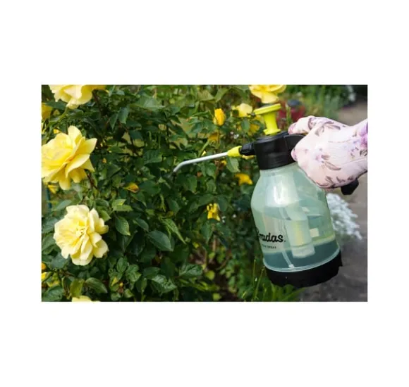 Tryckspruta "AQUA SPRAY CLEAR" 2l