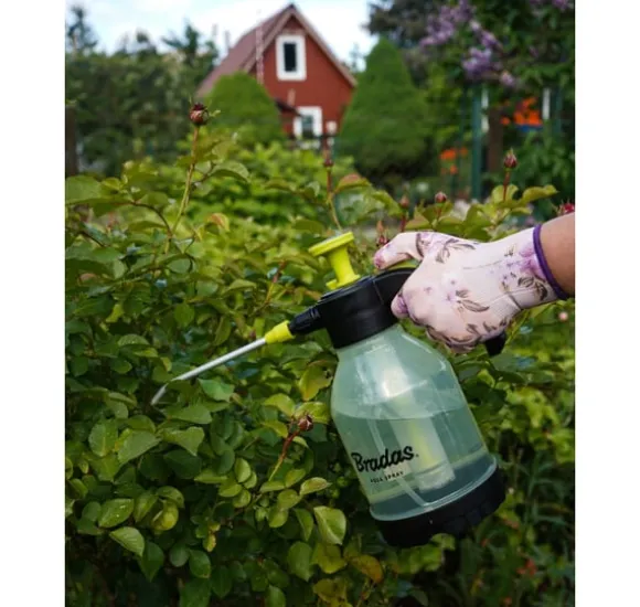 Tryckspruta "AQUA SPRAY CLEAR" 2l