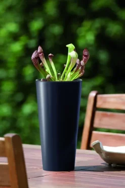 Tubus Slim DTUS250 Hög Blomkruka | Vit