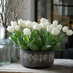 Tulpanlökar - Set om 21 - Tulipa 'Northcap' - Blomlökar - Geel
