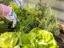 Upphöjd rabatt för balkong, terrass och trädgård 110x55x80cm - Träherbarium på ben - Planterlåda på ben för blommor, örter, grönsaker - Upphöjd låda f | CDON