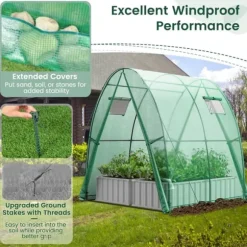 Utomhusväxthus, 6x6x6,6 fot, Grön/Vit