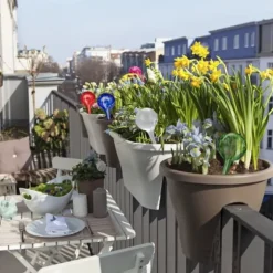 Vattenkulor set, 30x9 cm, Glas