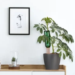 Vattenspikset, 18x5,5x5 cm, Terrakotta