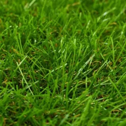 vidaXL Konstgräsmatta 1x5 m/30 mm grön - Artificiell flora