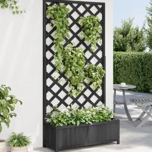 vidaXL Odlingslåda med spaljé svart massivt granträ - Krukor & odlingslådor